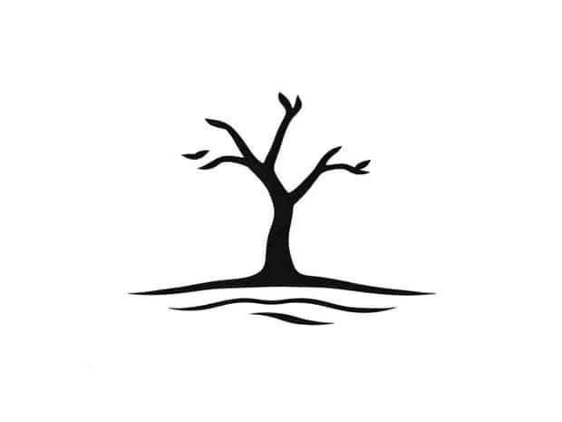 Climacteric And Non-Climacteric Difference