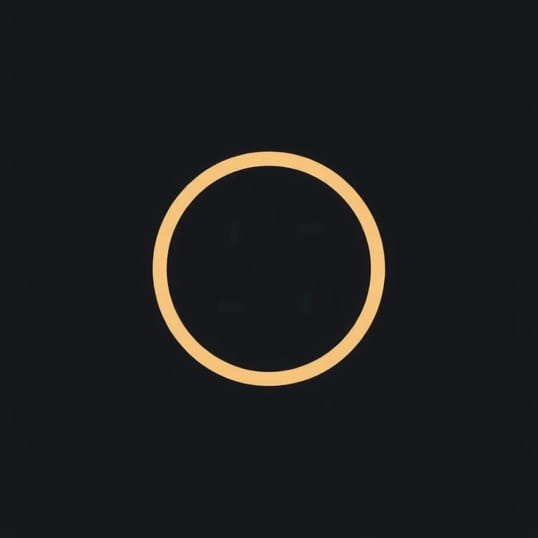 Concern For Orderliness & Quality