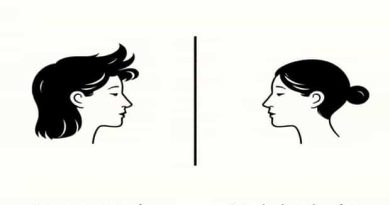 Difference Between Egocentric And Narcissistic