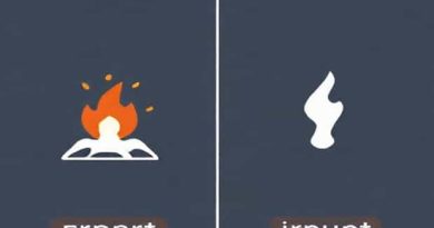 Difference Between Erupt And Irrupt