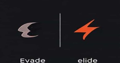 Difference Between Evade And Elude