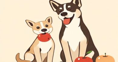 Dogs Can Have Apples