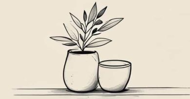 Easy Still Life Drawing