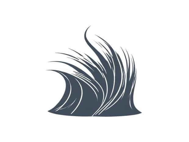 Examples Of Macroscopic Properties Of Hair