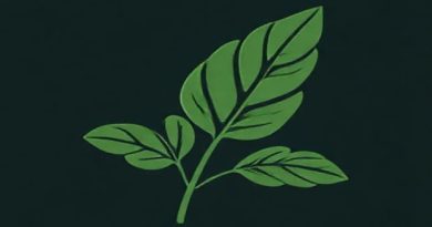 How To Use Plantain Leaves