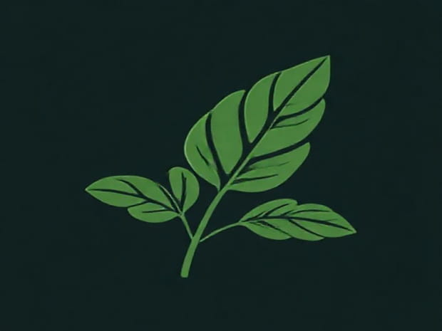 How To Use Plantain Leaves