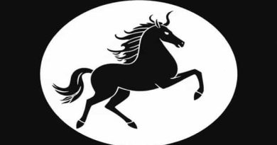 James Webb Centaur Observations