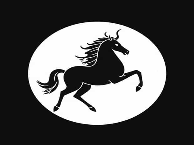 James Webb Centaur Observations