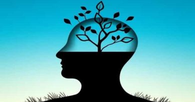 Jan Van Helmont Photosynthesis