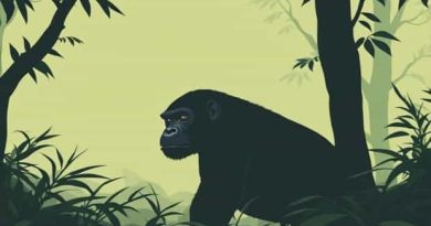 Jane Goodall Gorillas In The Mist