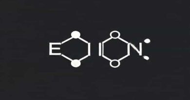 Kinetically E-Selective Macrocyclic Ring-Closing Metathesis