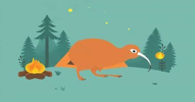 Kiwi Camping Captivate Insect Trap