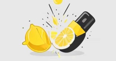 Lemon Cutter And Smasher