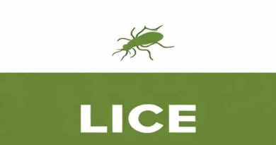 Lice Infestation Medical Term