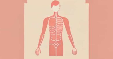 Male Reproductive System Labeled