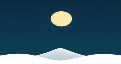 Meaning Of Forsook In English