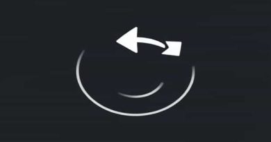 Meaning Of Gyrate In Simple English