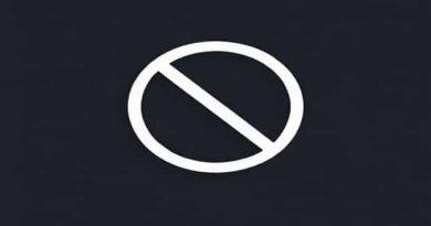 Meaning Of No Nonsense