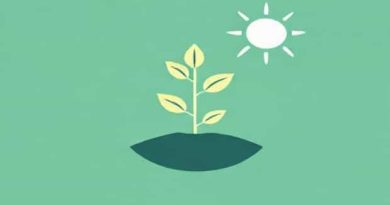 Meaning Of Photosynthesis In Science