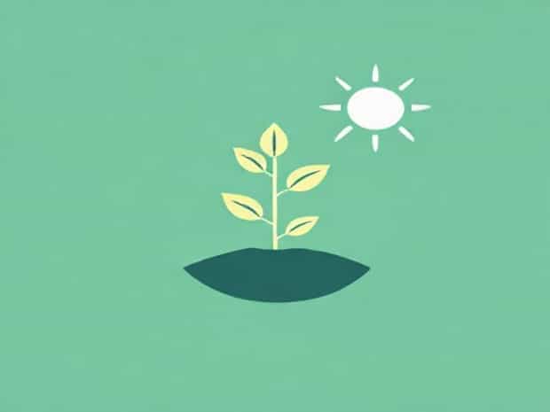 Meaning Of Photosynthesis In Science