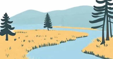 Meaning Of Riparian Land