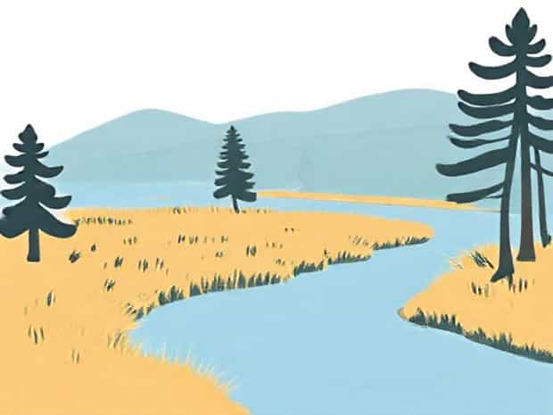 Meaning Of Riparian Land