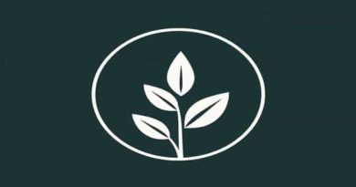 Meaning Of Sustainable In Hindi