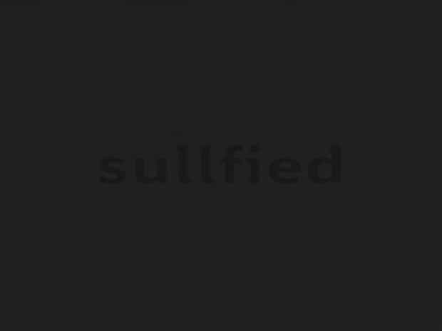 Meaning Of The Word Sullied