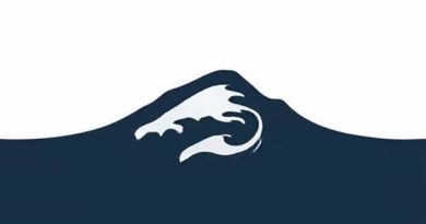 Meaning Of Turbulent In Hindi