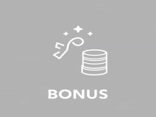 Meaning Of Wager Bonus