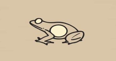 Mention The Importance Of Tympanum In Amphibians Class 11