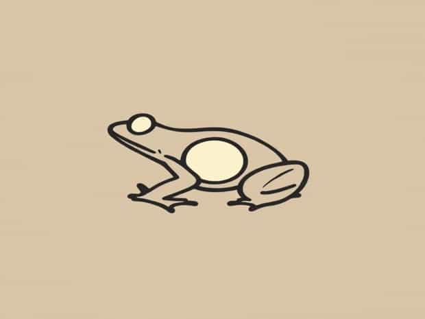 Mention The Importance Of Tympanum In Amphibians Class 11