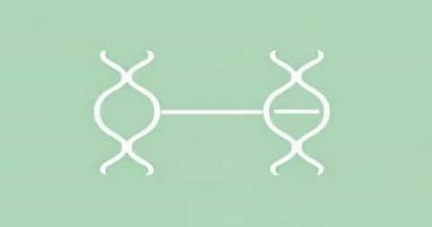 Methyl Guanine Methyl Transferase