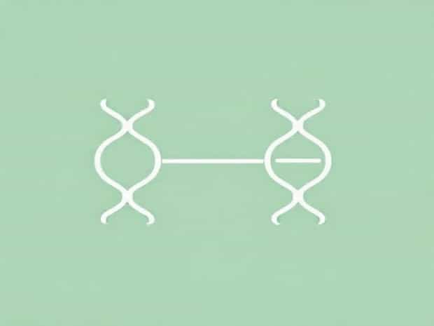 Methyl Guanine Methyl Transferase