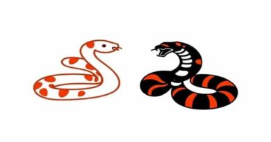 Milk Snake Vs Copperhead