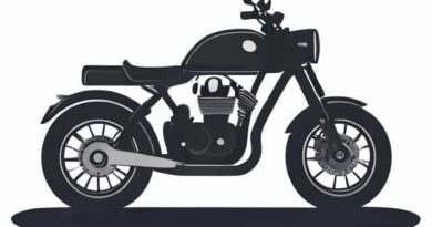 Motorcycle Floorboard Highway Pegs