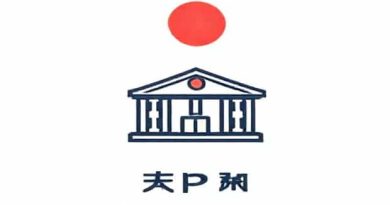 Mutual Fund Nippon Small Cap