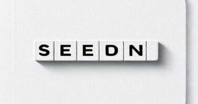 Sordid Seedy Crossword Clue