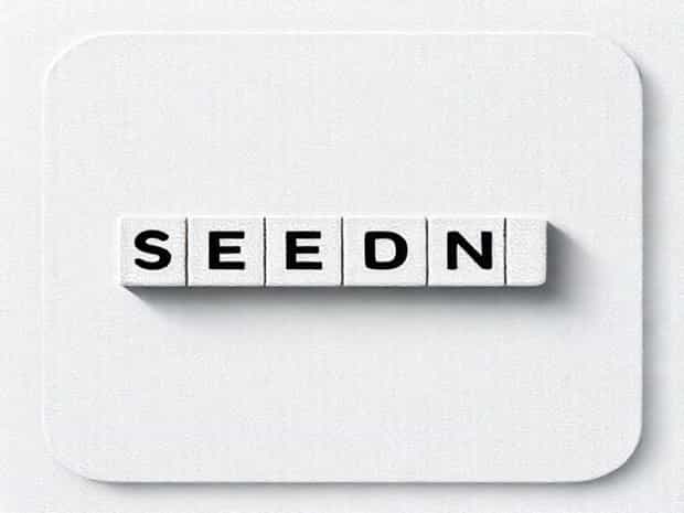 Sordid Seedy Crossword Clue