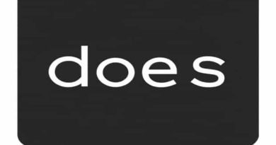 What Does Stylize Mean