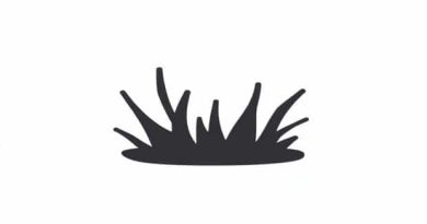 What Is Another Word For Unruly