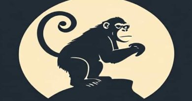 What Is The Largest Monkey