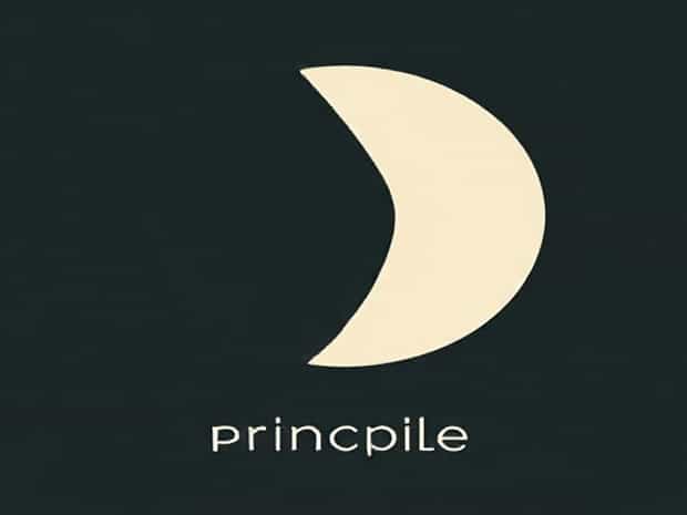 What Is The Pareto Principle?