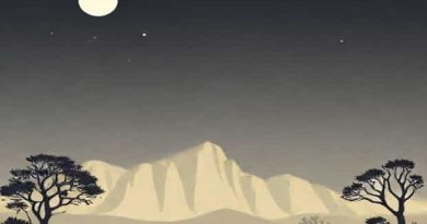 Yr.No Faerie Glen Pretoria