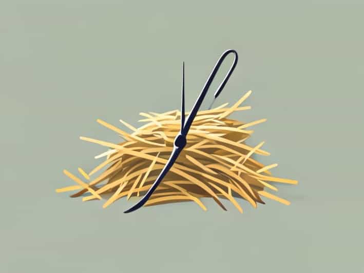 A Needle In A Haystack Stalker 2