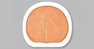 A Parietal Layer Of A Serous Membrane