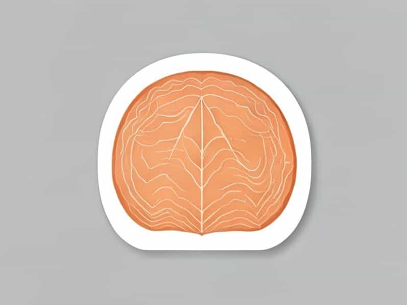 A Parietal Layer Of A Serous Membrane