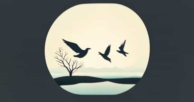 A Season Of Migration To The North