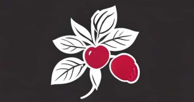 Aunt Rosie'S Loganberry Where To Buy