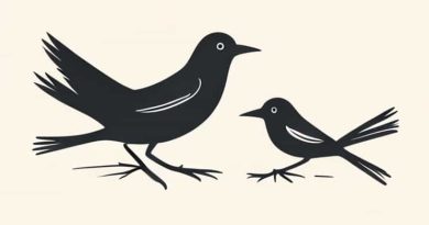 Birds In Chronicle Of A Death Foretold